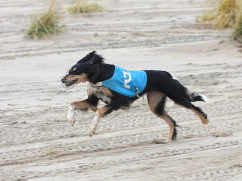 Kati, Fi LCCh. Photo by J.Stenroos